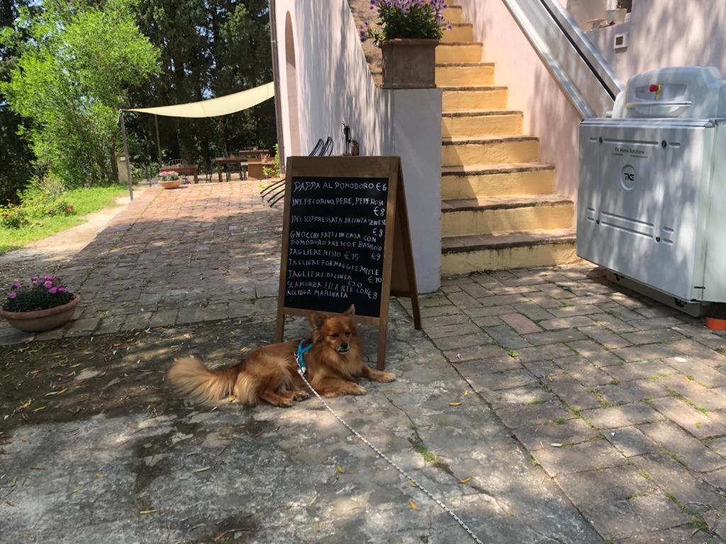 Bb Gli Aristogatti Bed & Breakfast Ghizzano Dış mekan fotoğraf