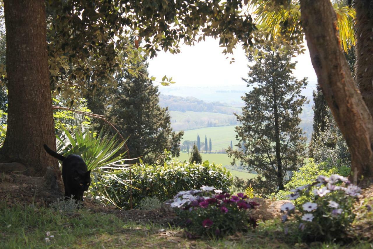 Bb Gli Aristogatti Bed & Breakfast Ghizzano Dış mekan fotoğraf